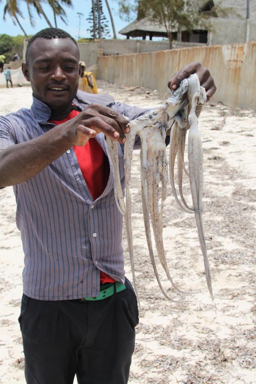 Oluwa Seun Beach Cottages, Mtwapa Mombasa Exteriör bild